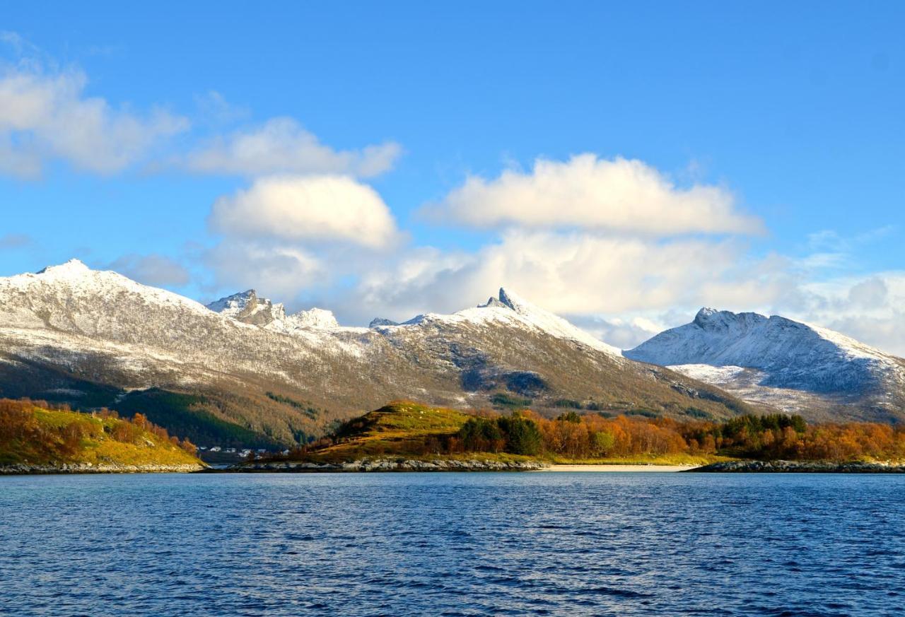 I Senja 4* Hamn